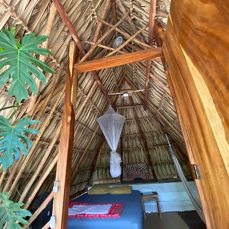 Calypso Cabanas El Paredón Buena Vista エクステリア 写真