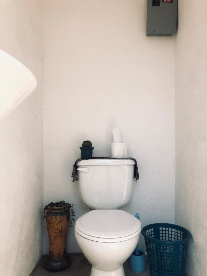 Calypso Cabanas El Paredón Buena Vista エクステリア 写真