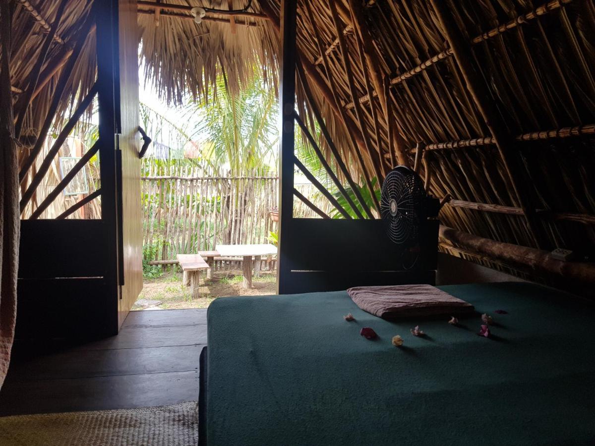 Calypso Cabanas El Paredón Buena Vista エクステリア 写真