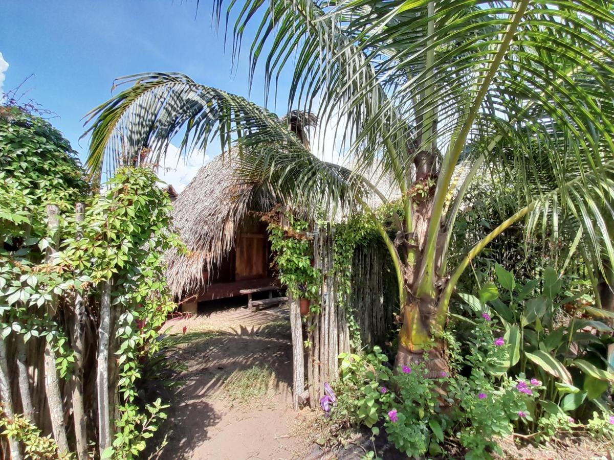 Calypso Cabanas El Paredón Buena Vista エクステリア 写真