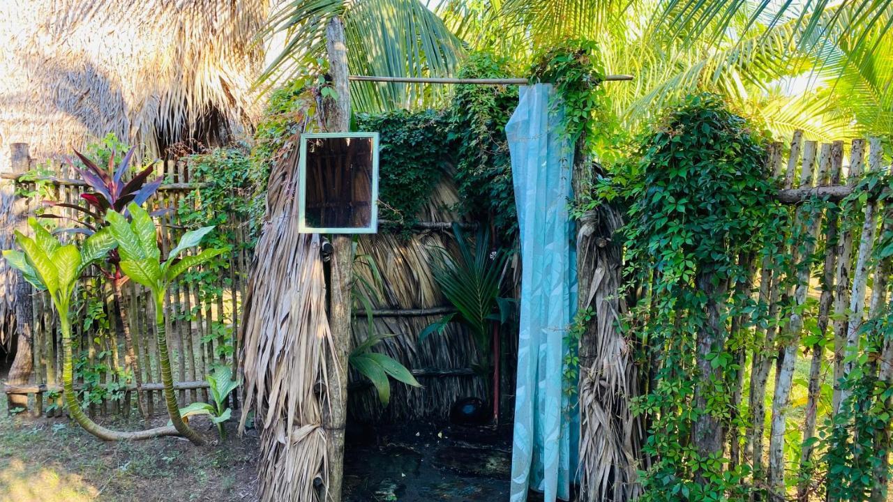 Calypso Cabanas El Paredón Buena Vista エクステリア 写真