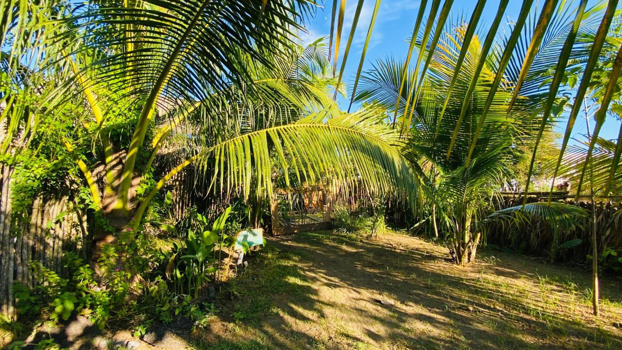 Calypso Cabanas El Paredón Buena Vista エクステリア 写真