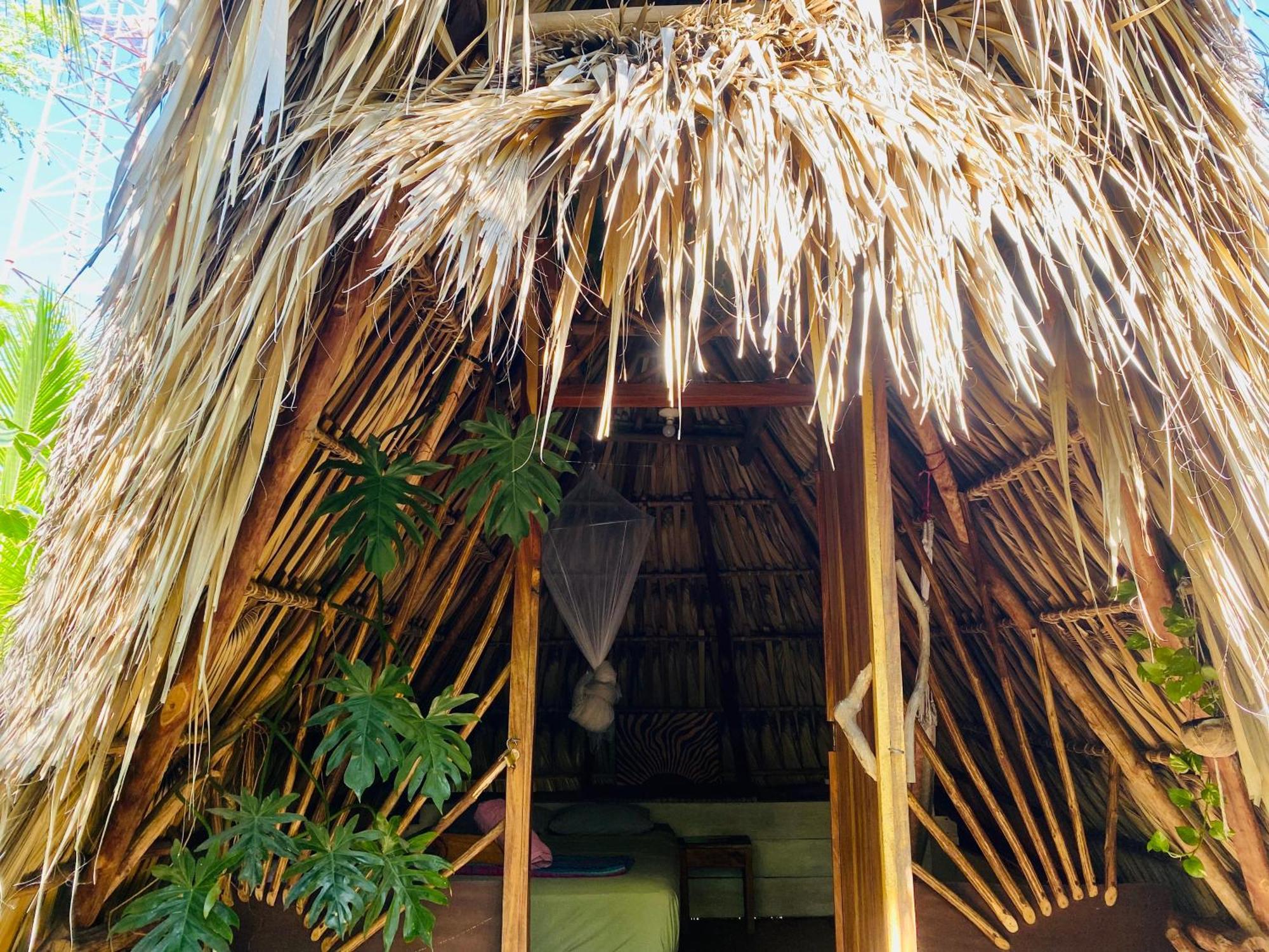 Calypso Cabanas El Paredón Buena Vista エクステリア 写真