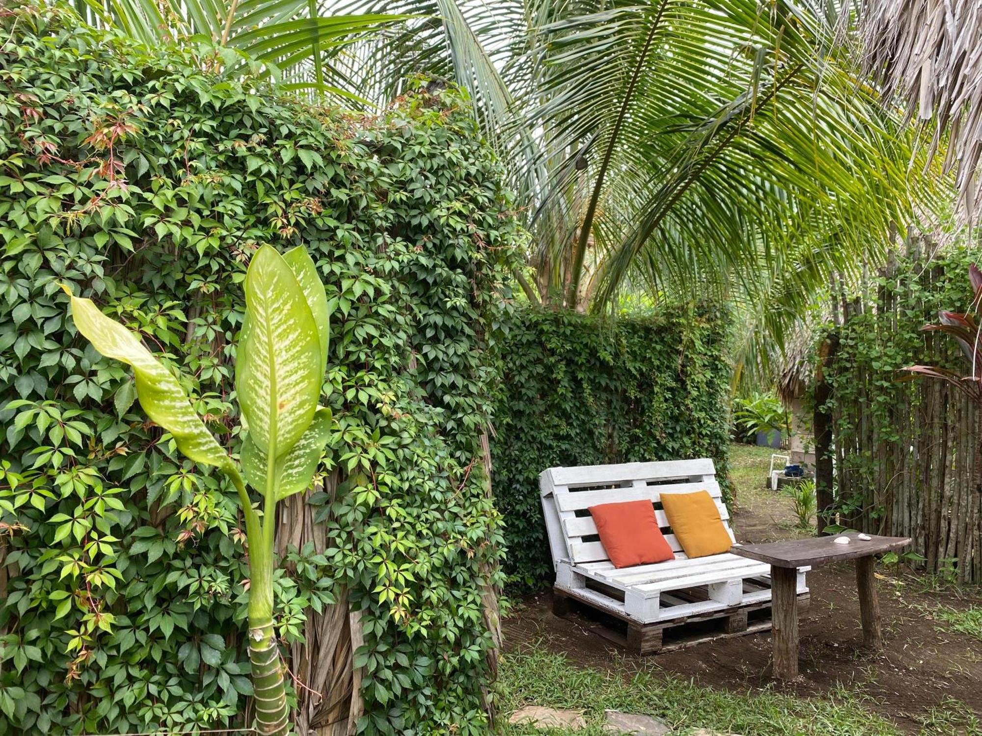 Calypso Cabanas El Paredón Buena Vista エクステリア 写真