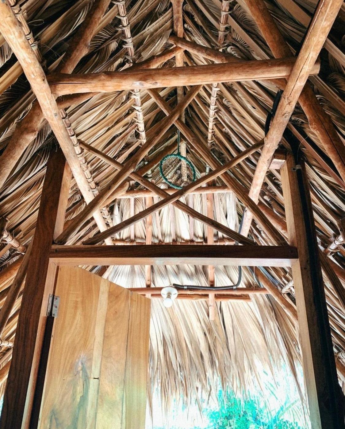 Calypso Cabanas El Paredón Buena Vista エクステリア 写真