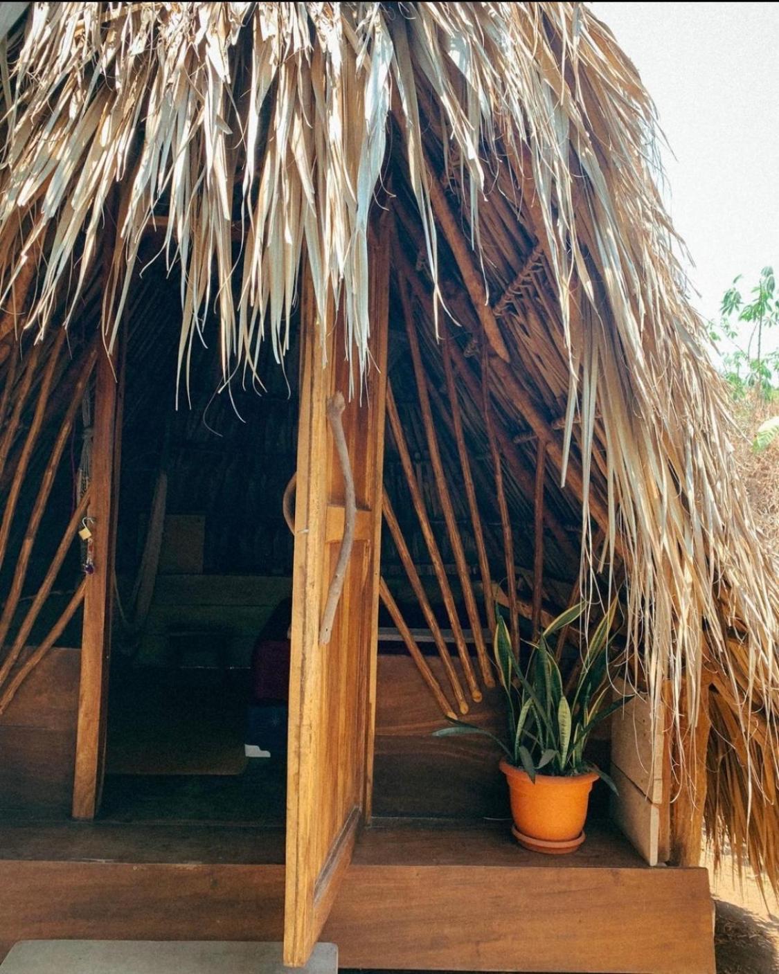 Calypso Cabanas El Paredón Buena Vista エクステリア 写真