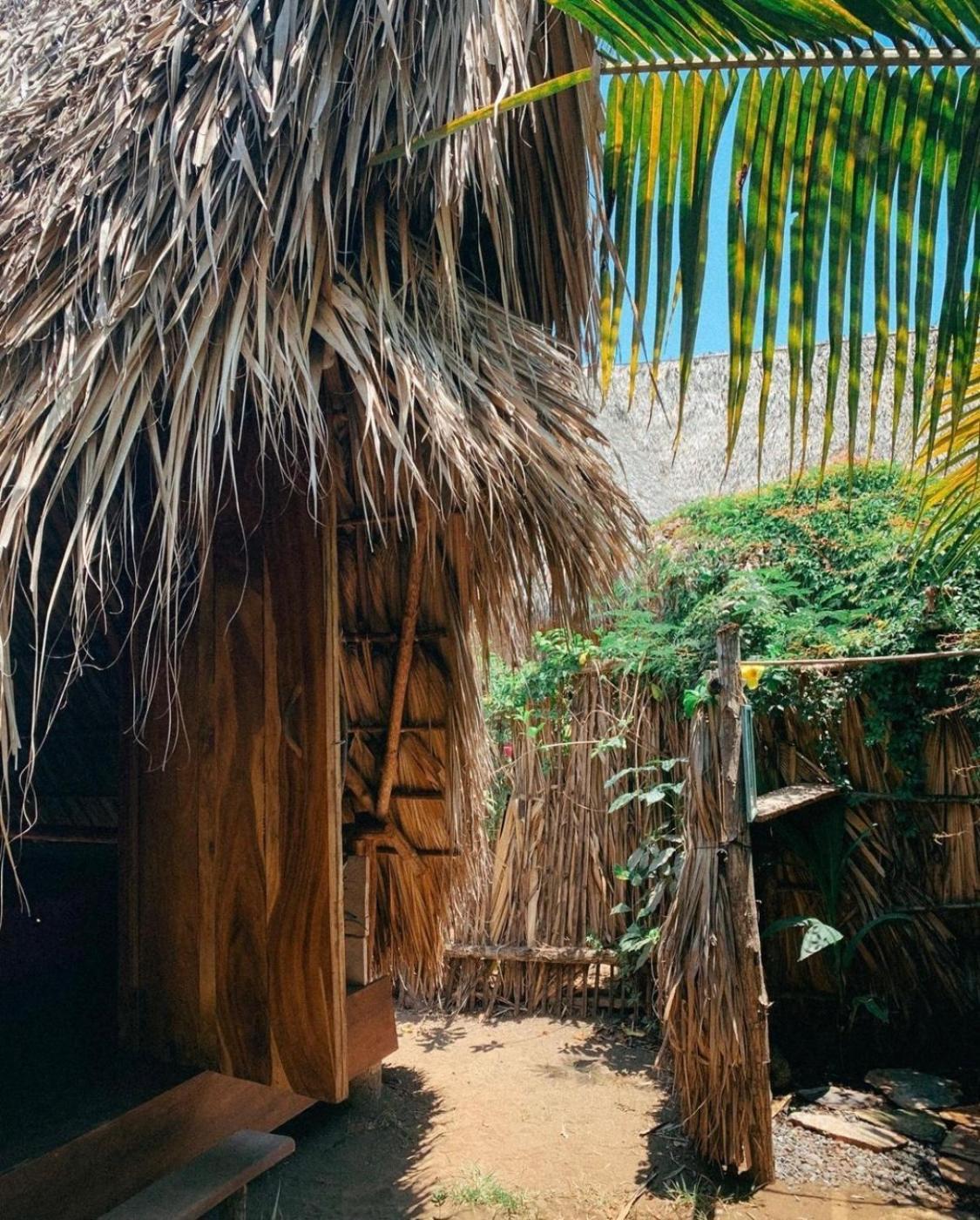 Calypso Cabanas El Paredón Buena Vista エクステリア 写真